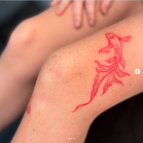 Trabalho de barbara-galon