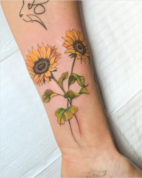 Trabalho de bruna-lazaro